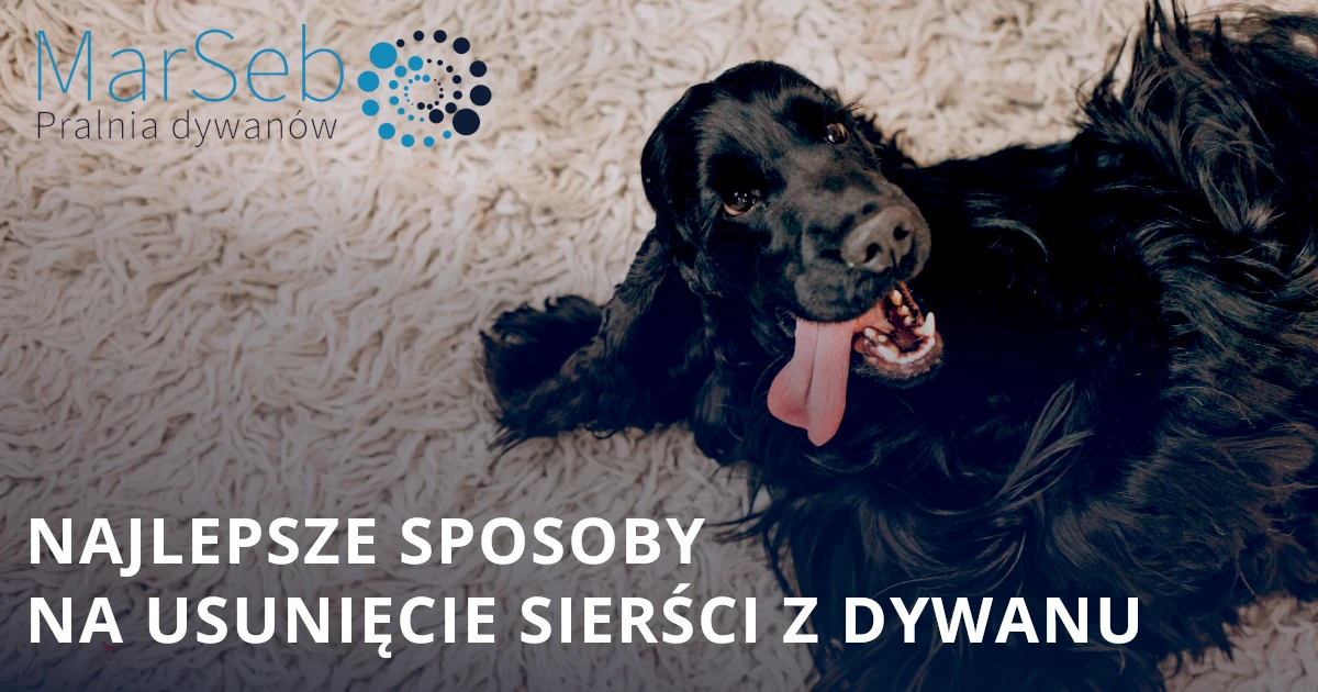 Najlepsze sposoby na usunięcie sierści z dywanu